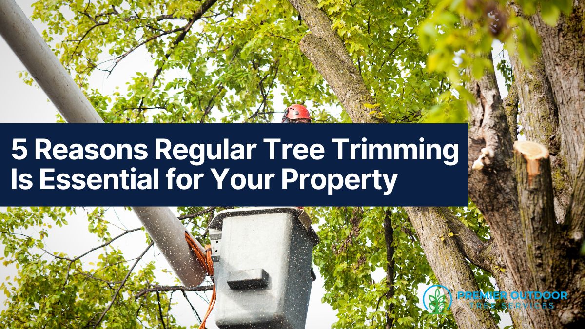 Tree trimming benefits for property maintenance.