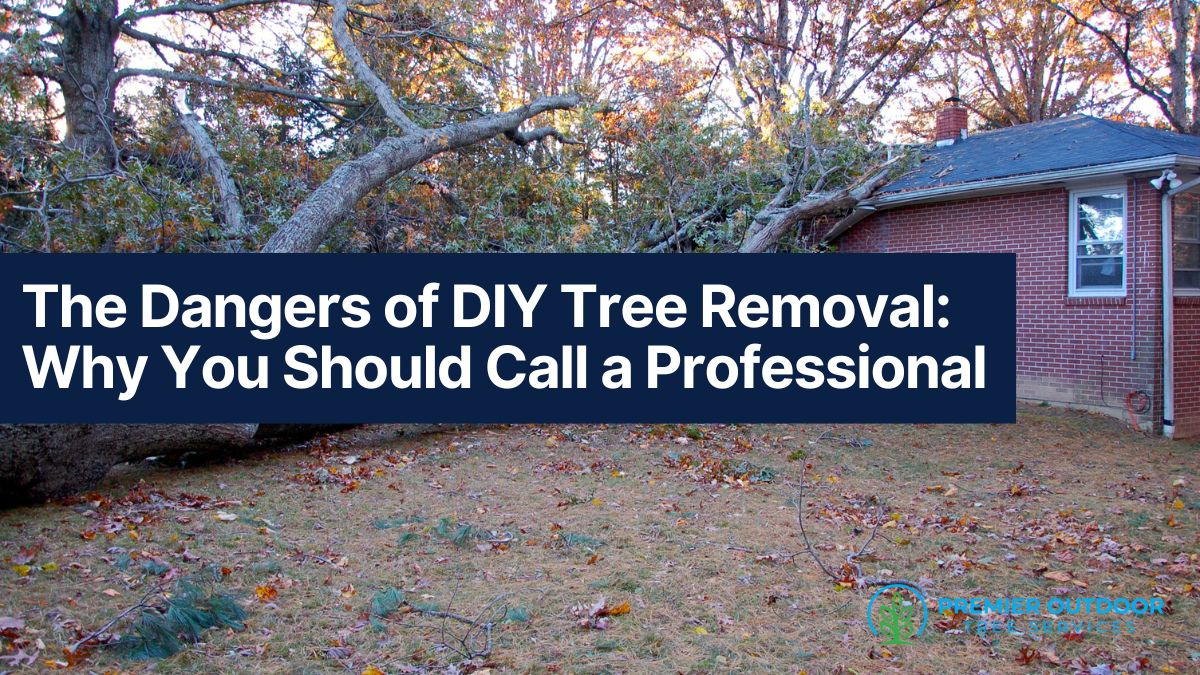 Fallen tree next to house highlights DIY removal risks.