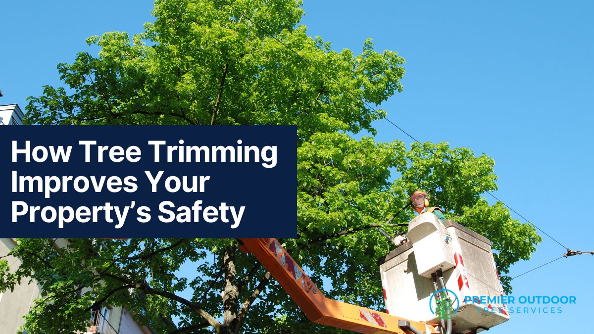 Tree trimming enhances property safety with professional service.