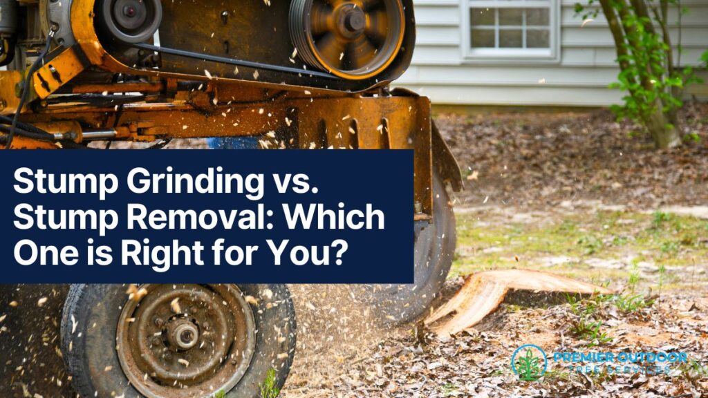 Stump grinding machine in action on tree stump.