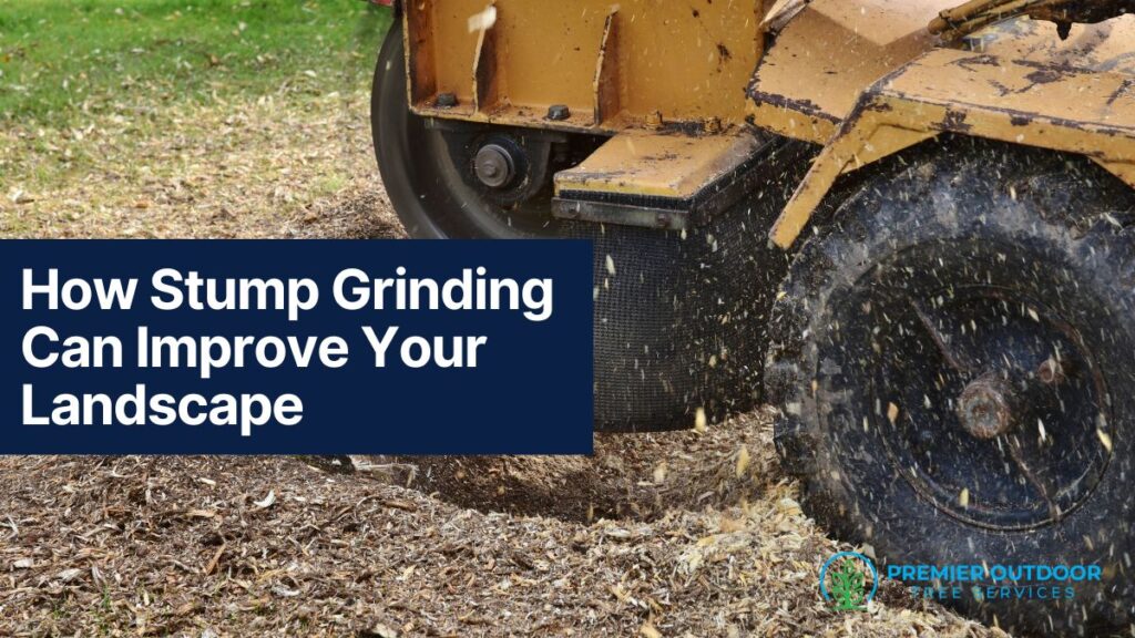 Stump grinding benefits for landscaping improvement.